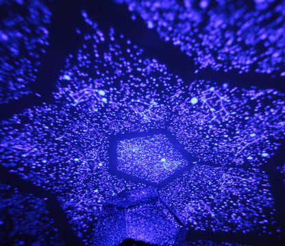 Lampe de projection scientifique à LED mettant en valeur le projecteur d'étoiles romantique des quatre saisons